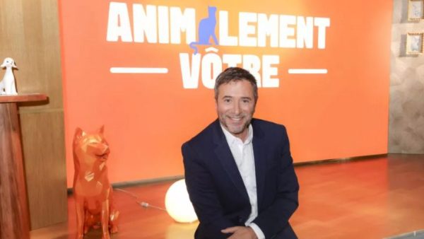 Bernard Montiel déjà évincé : France 3 arrête « Animalement vôtre »