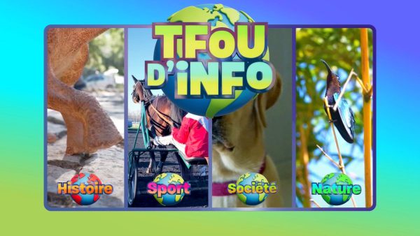 « TFOU d’Info » explore les dinosaures et les chiens guides sur TFX