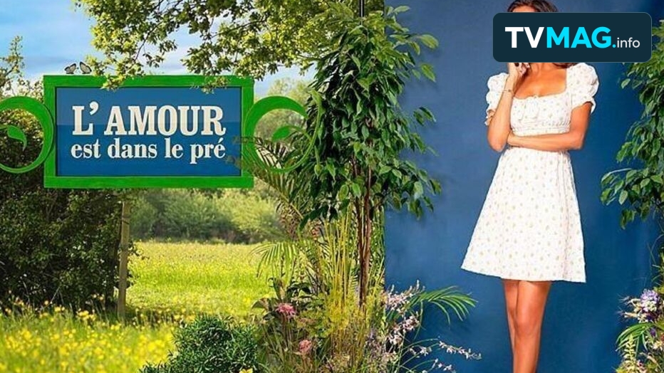 Audiences TV : « L’amour est dans le pré » devance « Cat’s Eyes », Arte en grande forme avec Maigret