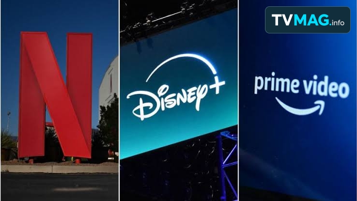 Netflix, Disney+ et Prime Video contestent devant le Conseil d&rsquo;État les nouvelles obligations d&rsquo;investissement